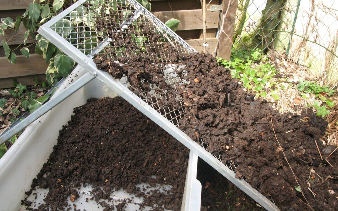 Horticulture Bioplastics Market: A Green Revolution in Agricultural Sustainability