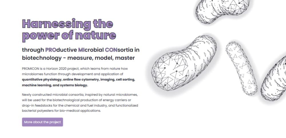 New Research on Microbial Bioplastics: Insights from the PROMICON Project