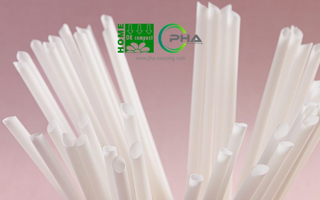 Straw Market Growth: Why PHA Straws Are Gaining B2B Attention