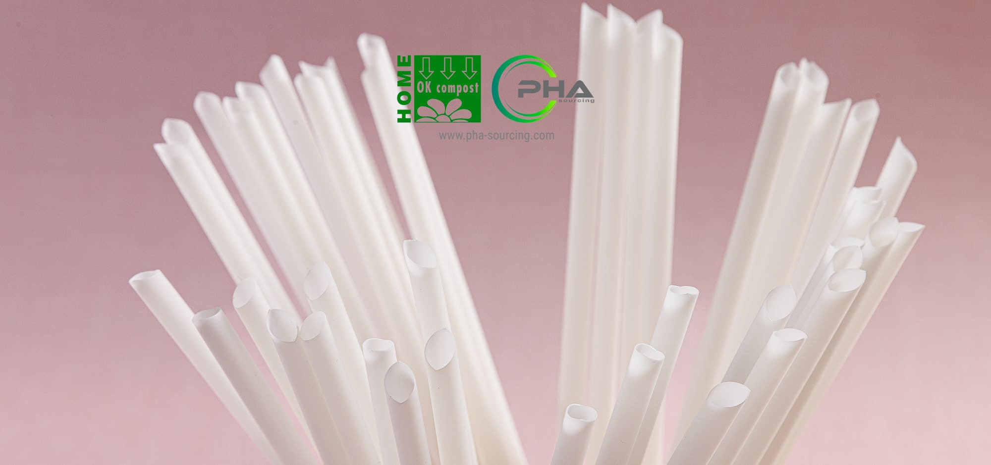 Explore how straw market growth and plastic bans are creating opportunities for PHA straws in foodservice, venues and sustainable procurement.