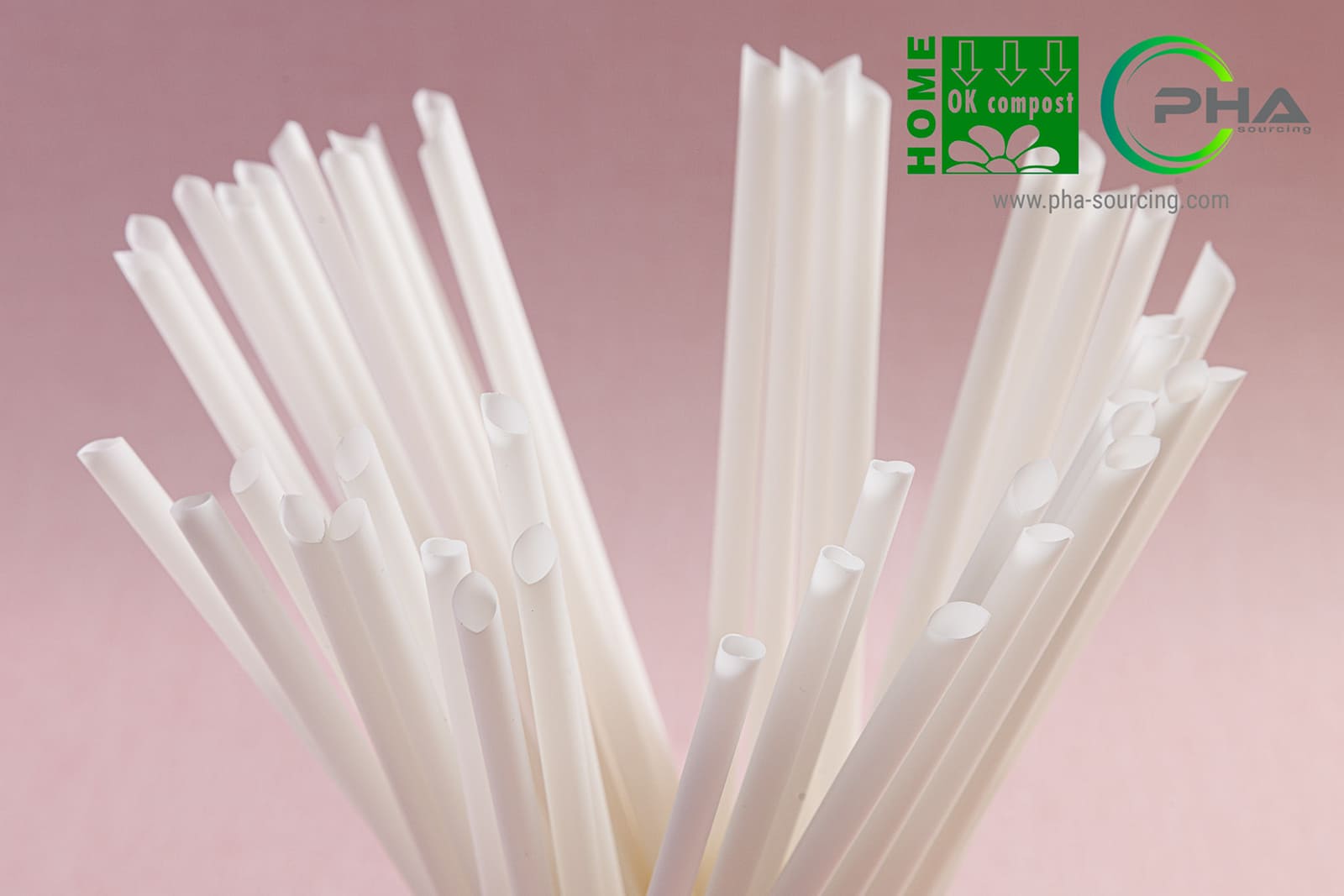 Explore PHA Drinking Straws via PHA Sourcing